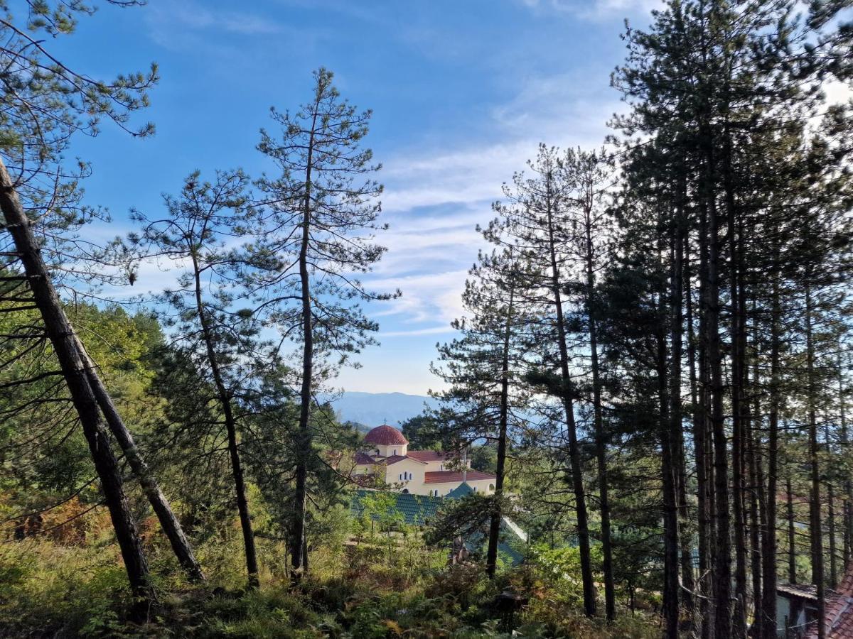 Bujtinat Skenderi Gjinar 2别墅 外观 照片